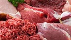20798 - خرید گوشت گاو گالووای با کیفیت عالی
