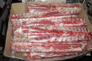 گاوی منجمد 310x205 - واردات انواع گوشت گاوی منجمد