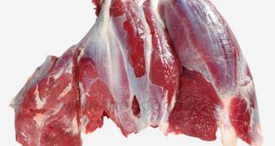خرید گوشت گوساله کشتار روز