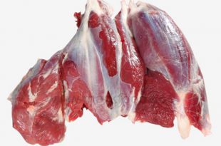 خرید گوشت گوساله کشتار روز