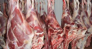 قیمت گوشت در بازار تهران