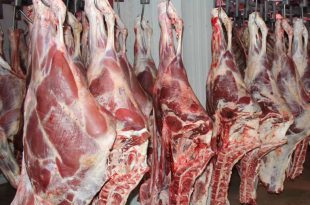 قیمت گوشت در بازار تهران