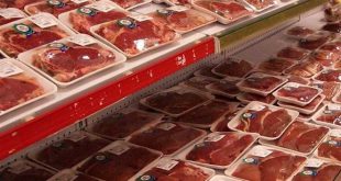 قیمت گوشت گوساله امروز