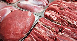 گوشت گوساله کشتار روز