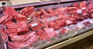 نمایندگی فروش گوشت گوساله منجمد