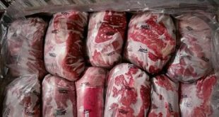 قیمت روز گوشت منجمد