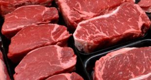 قیمت فروش گوشت گرم وارداتی
