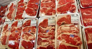 مراکز عرضه گوشت دولتی