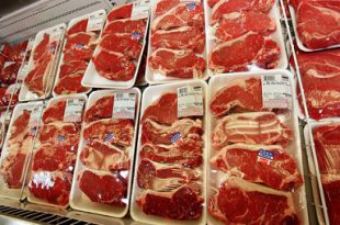 مراکز عرضه گوشت دولتی