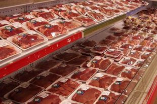 فروش گوشت منجمد