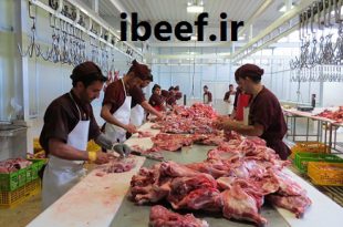 گوشت گوساله تهران