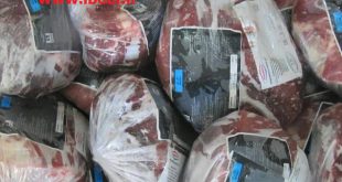 خرید گوشت برزیلی