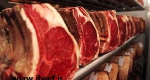 فروش گوشت وارداتی