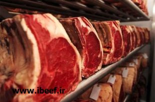 فروش گوشت وارداتی