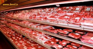 مرکز خرید گوشت برزیلی در اصفهان