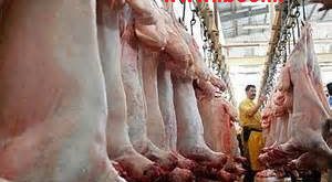 فروش گوشت گوسفندی وارداتی استرالیایی و گرجستان